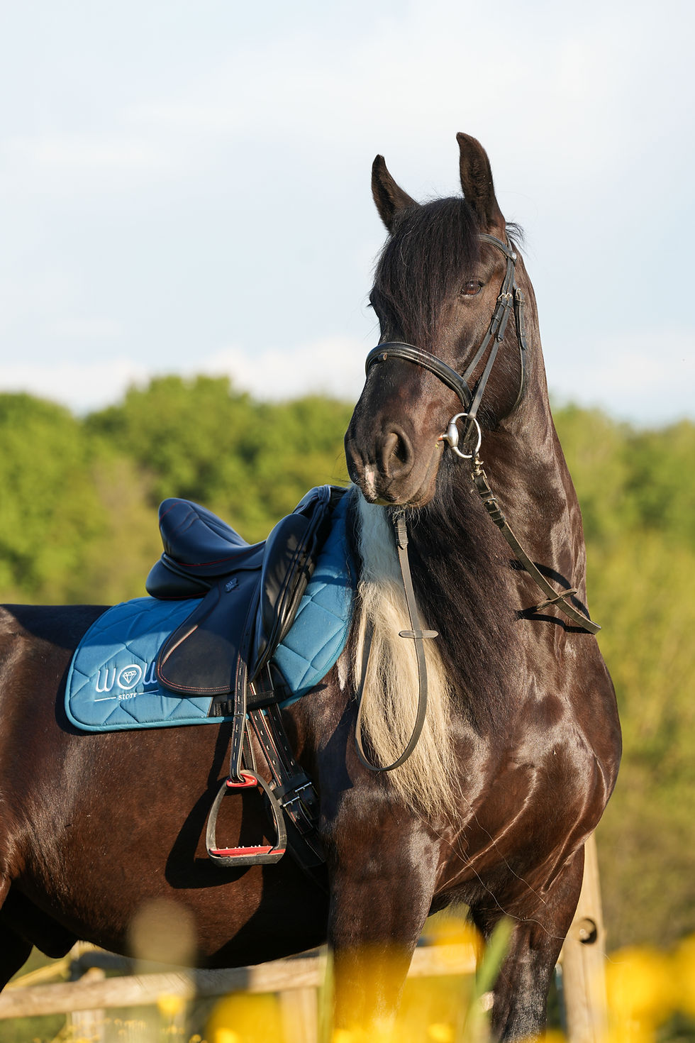 Miniatura: Tapis "HORSE CARE" Deep Green Grass