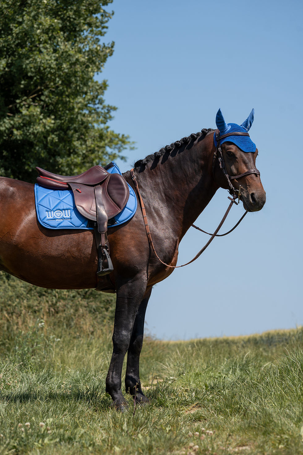 Miniatura: Tapis "HORSE CARE" Cerulean