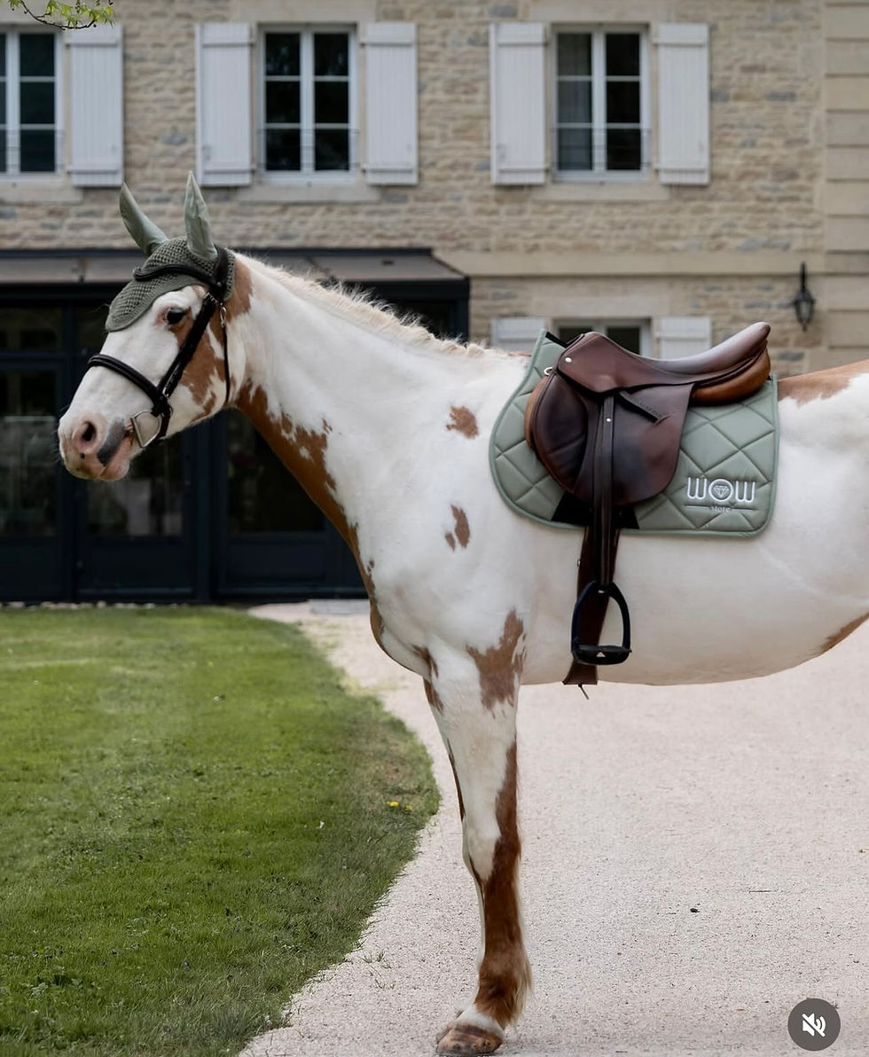 Thumbnail: Tapis "HORSE CARE" Laurel Green