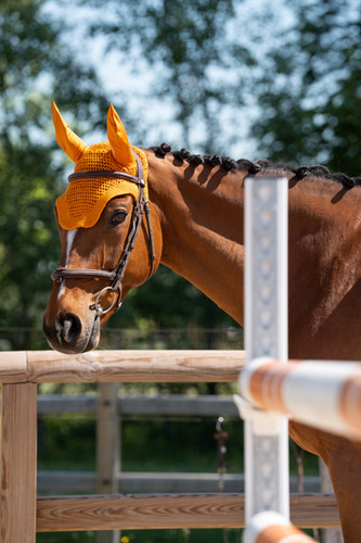 Bonnet anti-mouche cheval - Dy'on - DYON - Bonnet anti-mouche cheval Bonnet anti-mouche cheval - Dy'on - DYON - Bonnet anti-mouche cheval