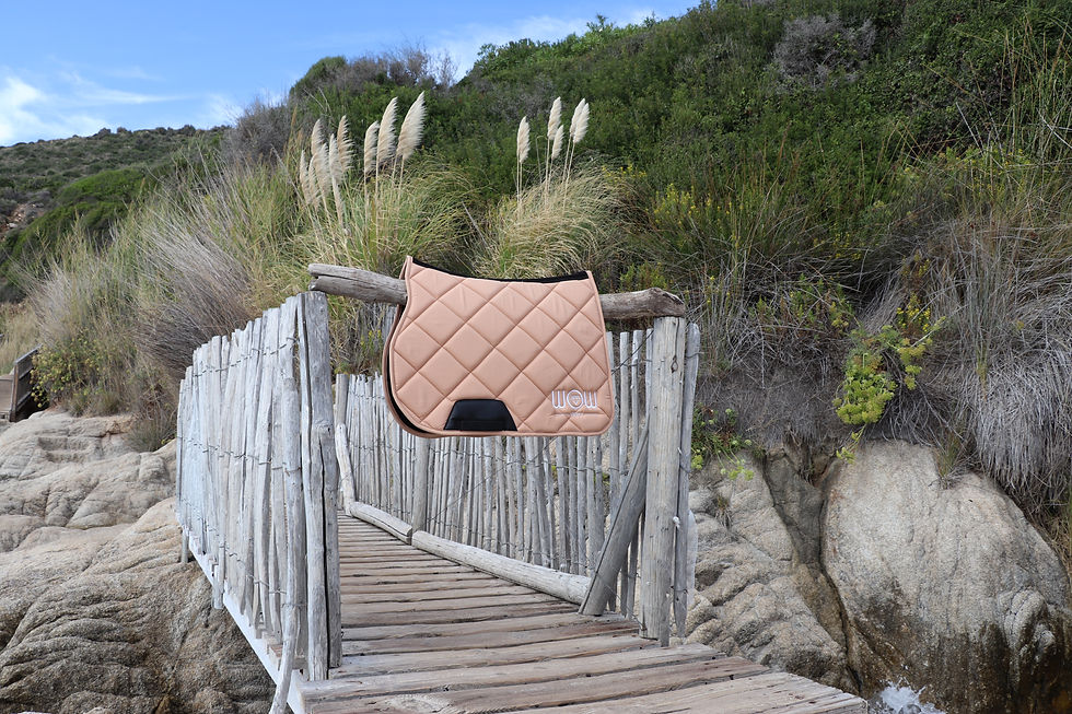 Miniatura: Tapis "HORSE CARE" Buttercream