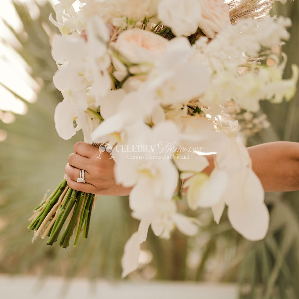 Wedding Planner en Los Cabos, Bridal Dreams Mexico