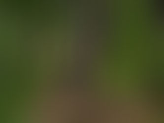 Photos from Huntersville Youth Enduro: 6/3/23