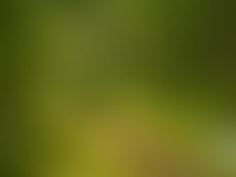 1Hundred MN EnduroCam from Duquette Youth Enduro