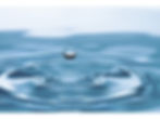 SGWM WEBSITE PAGE 1 LOGO.jpg