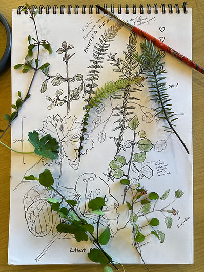 Nature journaling at Fernglen - Lesley Alexander.jpg
