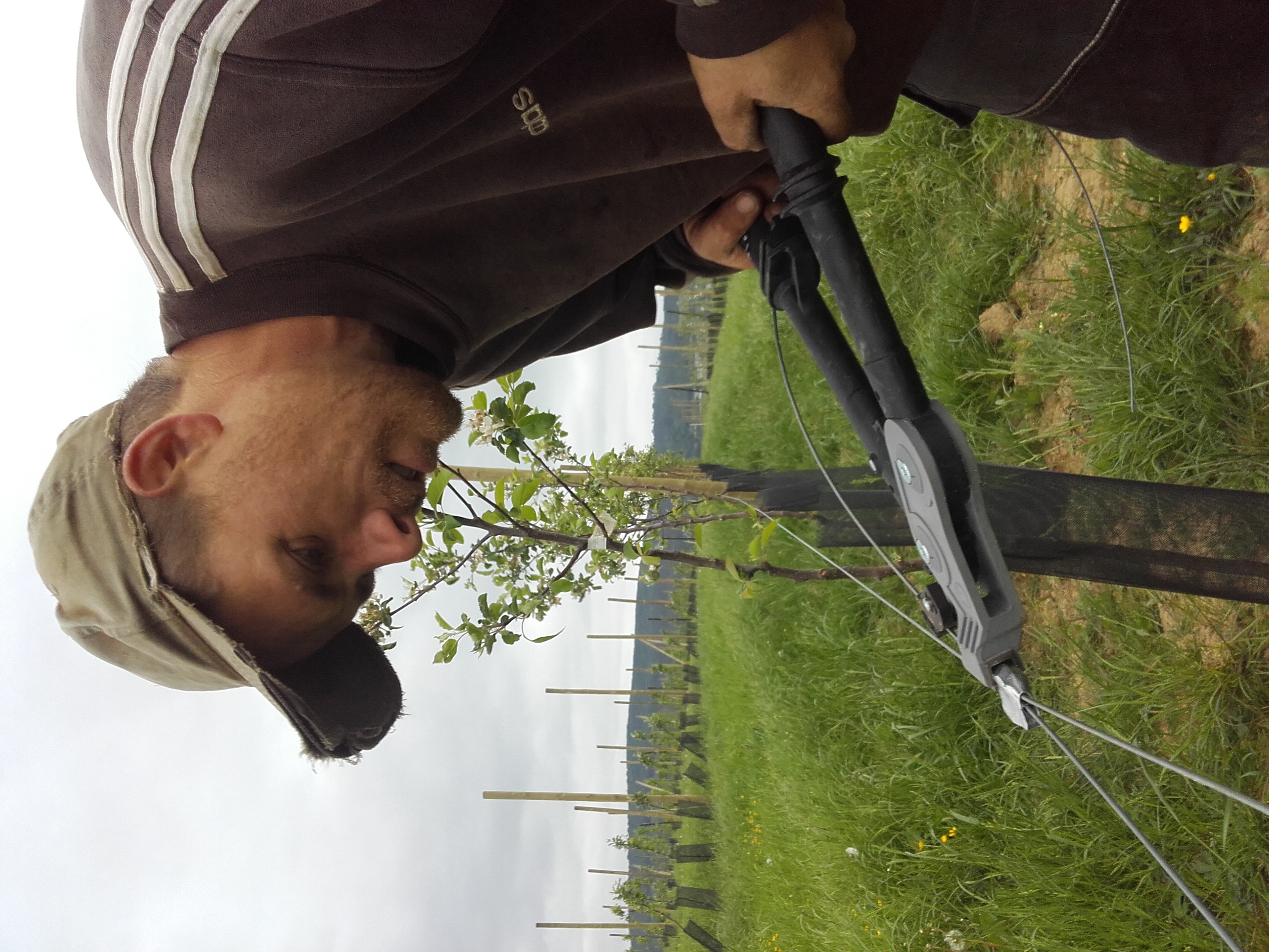 Le verger printemps 2016
