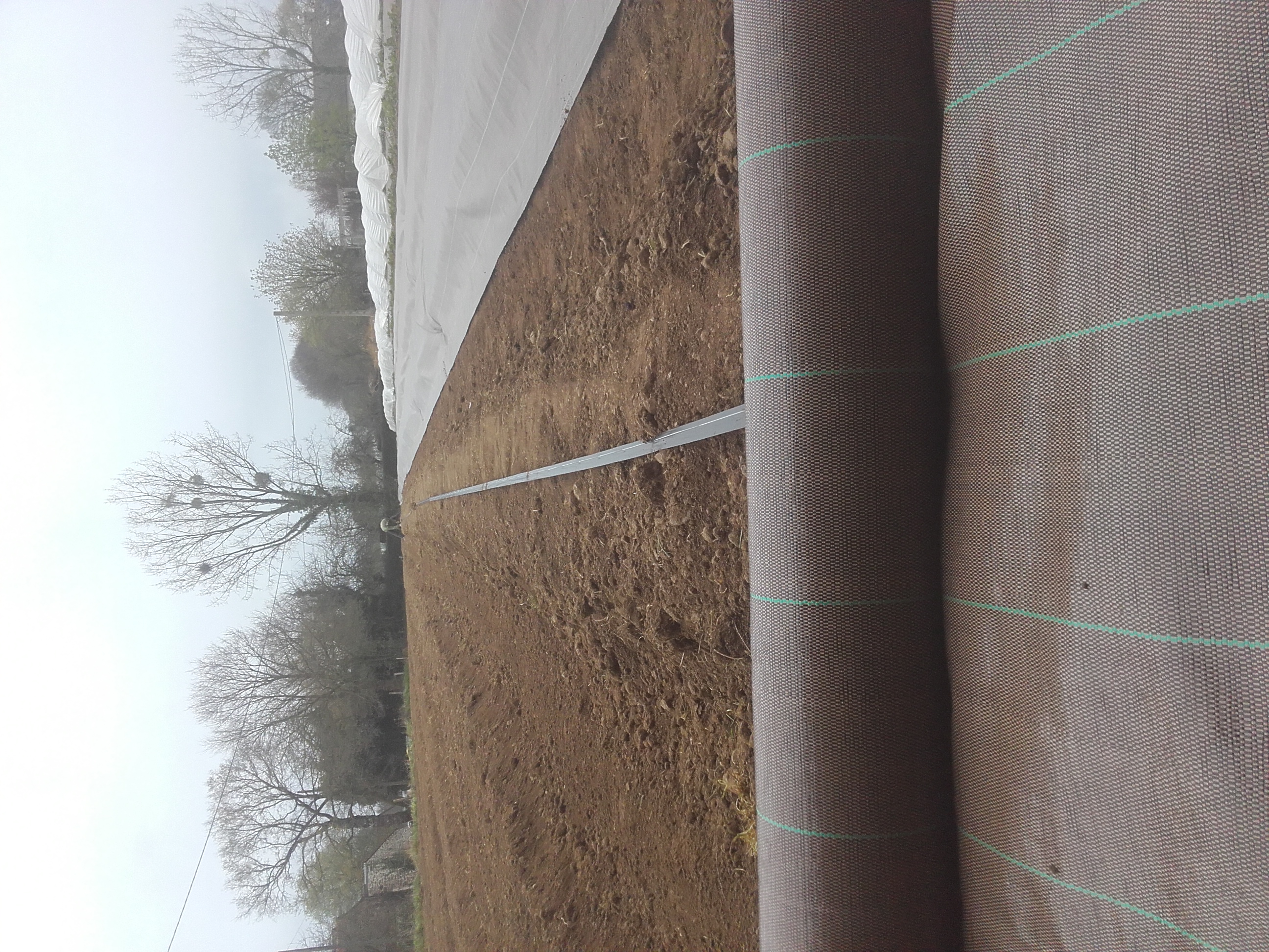 Chantier plantation