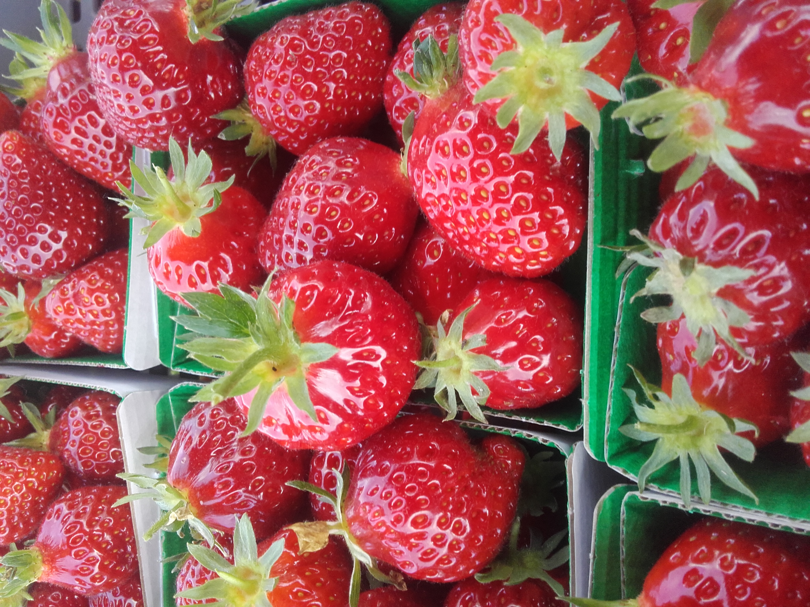 Barquettes de fraises