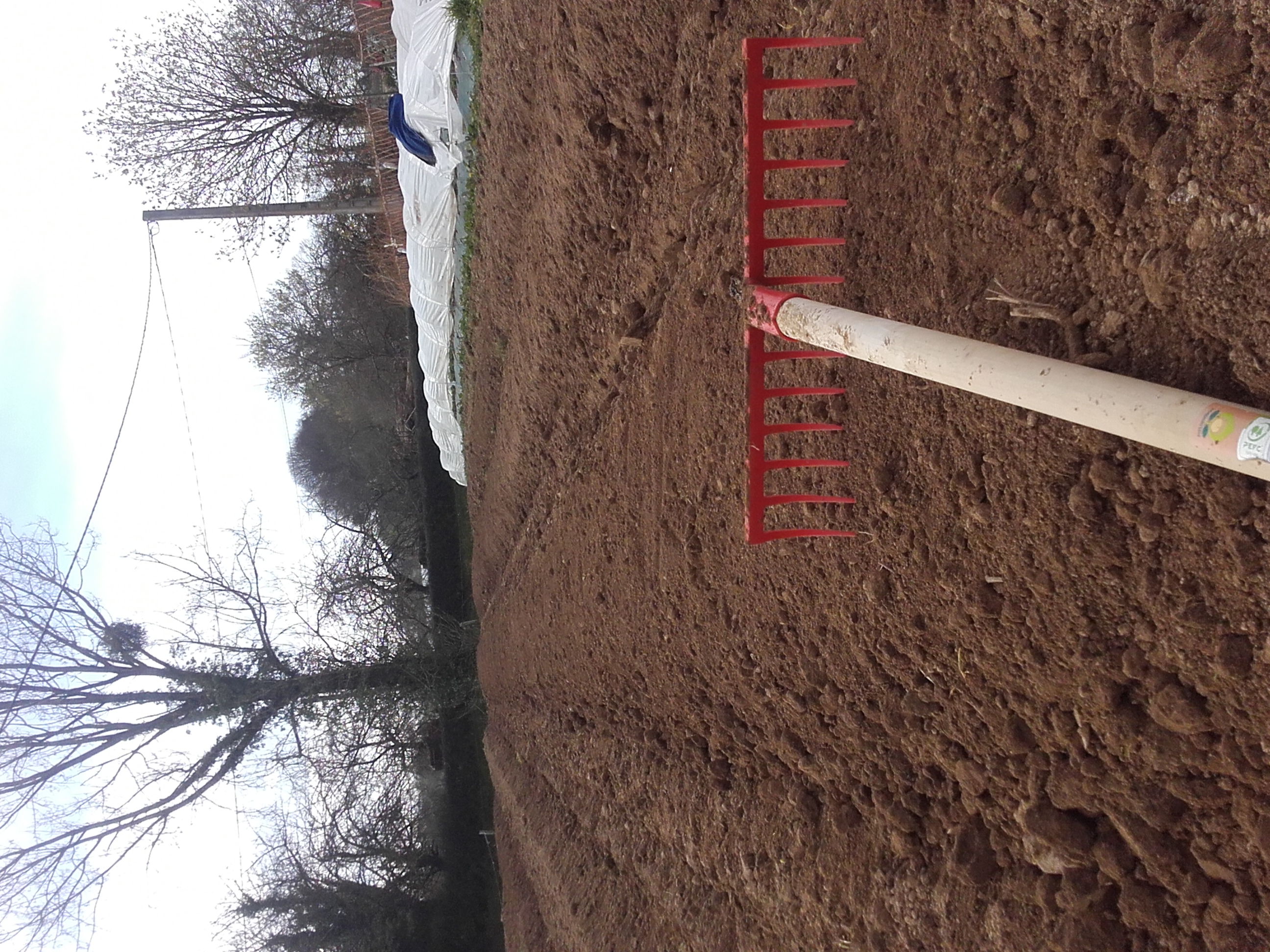 Chantier plantation