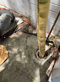 PHOTO-2026-01-10-00-11-55 (2).jpg