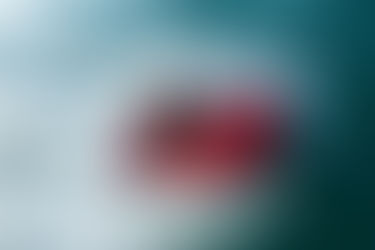 Vive la Aventura al máximo nivel con el GIBBS Quadski ATV