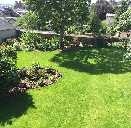 stéphane comaille engazonne vos espaces pour des pelouses parfaites et résistantes