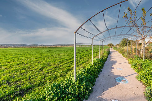 ramat_ishay_photo_05.jpg