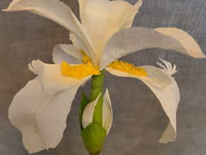 A New Year, New Home, New Paper Flowers!