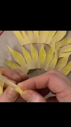 Curling Paper.gif
