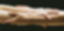 Bandha Yoga contact