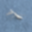 Screenshot 2024-10-05 at 11.29.57 PM.png