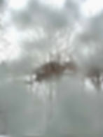 Brick house behind leafless trees, viewed through frosted glass on a snowy day. The scene is blurred and atmospheric, conveying a cold mood.