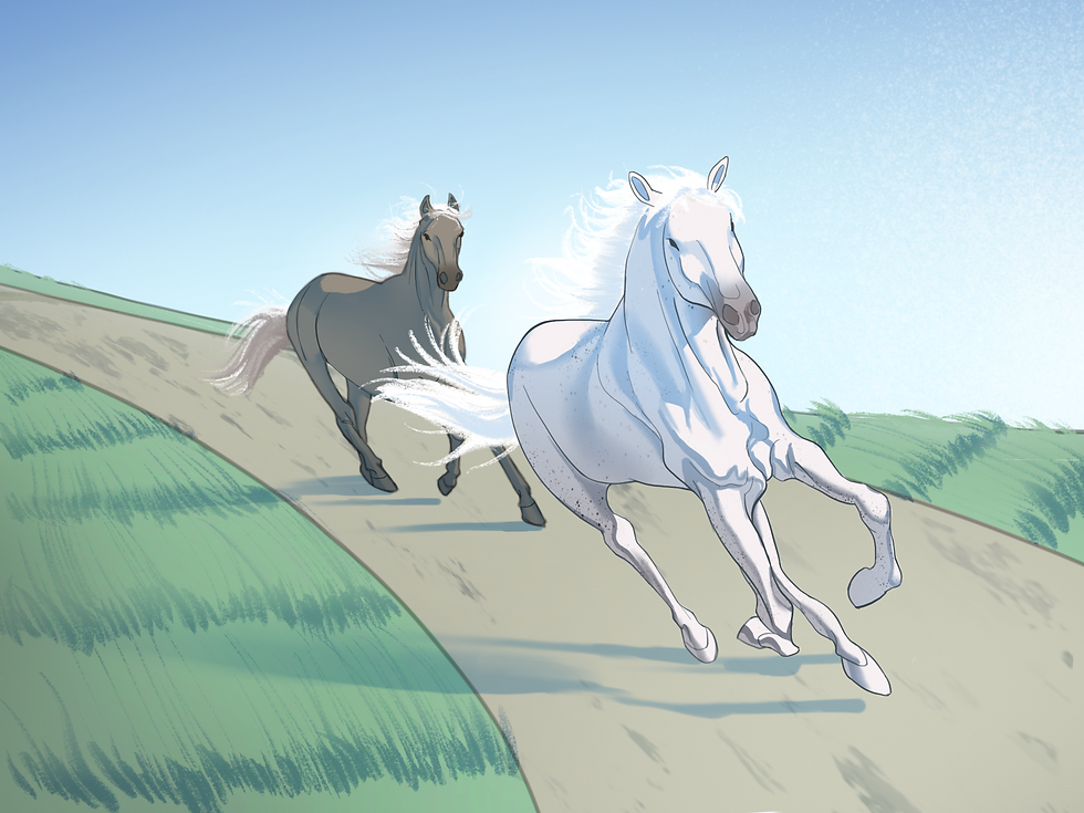 Two horses racing