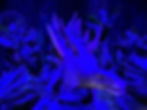 A stegosaurus model surrounded by lush plants under vibrant blue lighting, creating a prehistoric jungle ambiance.