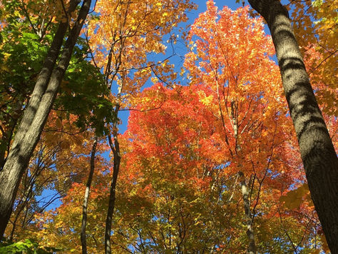 Is the Key to Your Success a Permanent One?