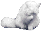 05.gif