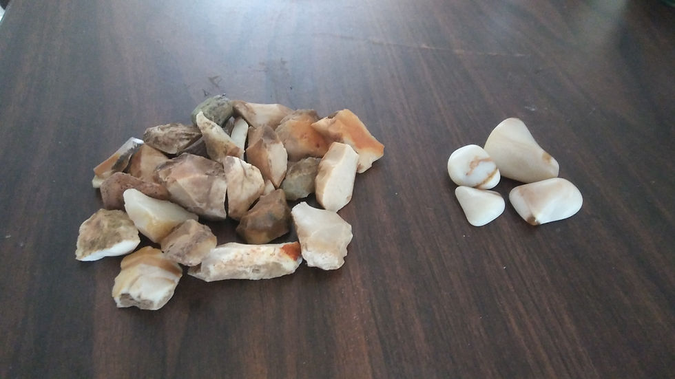 Figure 7: Rough (left) and tumbled (right) opalized wood from Yakima River Canyon.