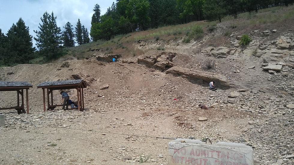 Figure 2: Dig site at Stonerose Interpretive Center, Republic, WA.
