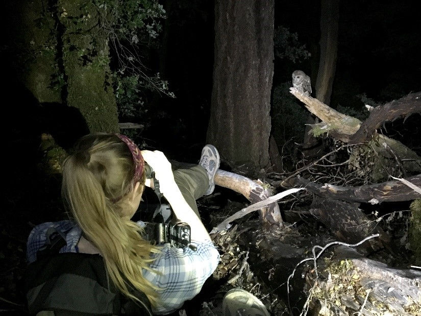 Figure 3: Arin Underwood, photographing in the field.