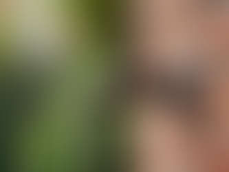 Replacing Outdoor Faucets: Hose Bib Replacement Made Easy