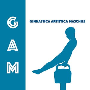 Grafiche sito.001.png