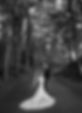 _DSC1603-Edit.jpg