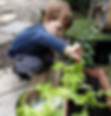 green thumb