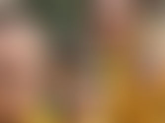 Rosedene Nurseries Pledges £10K to Ukraine Appeal