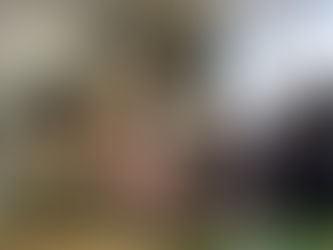 What We Got Up To In January