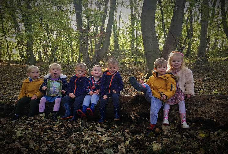 Forest 5.jpg