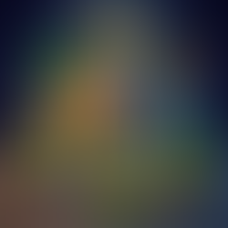 Achieving optimal well-being through holistic approache