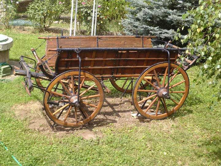 kočija2