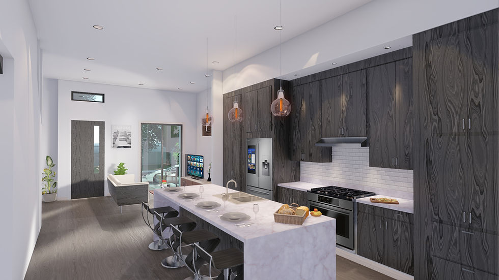 Professional Renderings