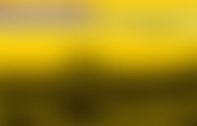 DM to Execute the Recovery Certificates in two months: Allahabad High Court [Read Orders]