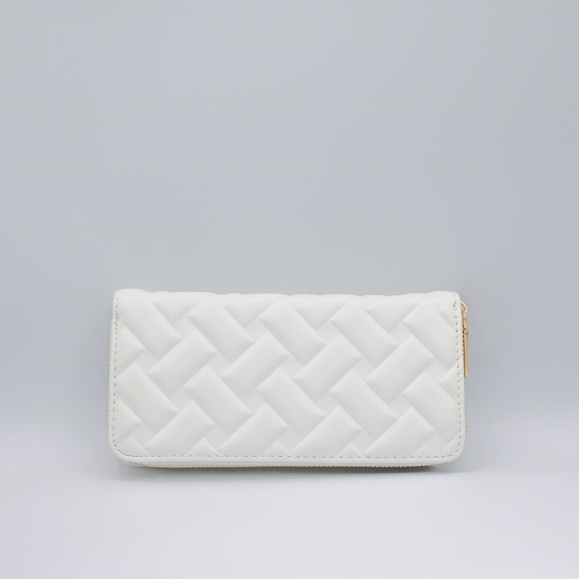 Portafoglio Paolo Cane