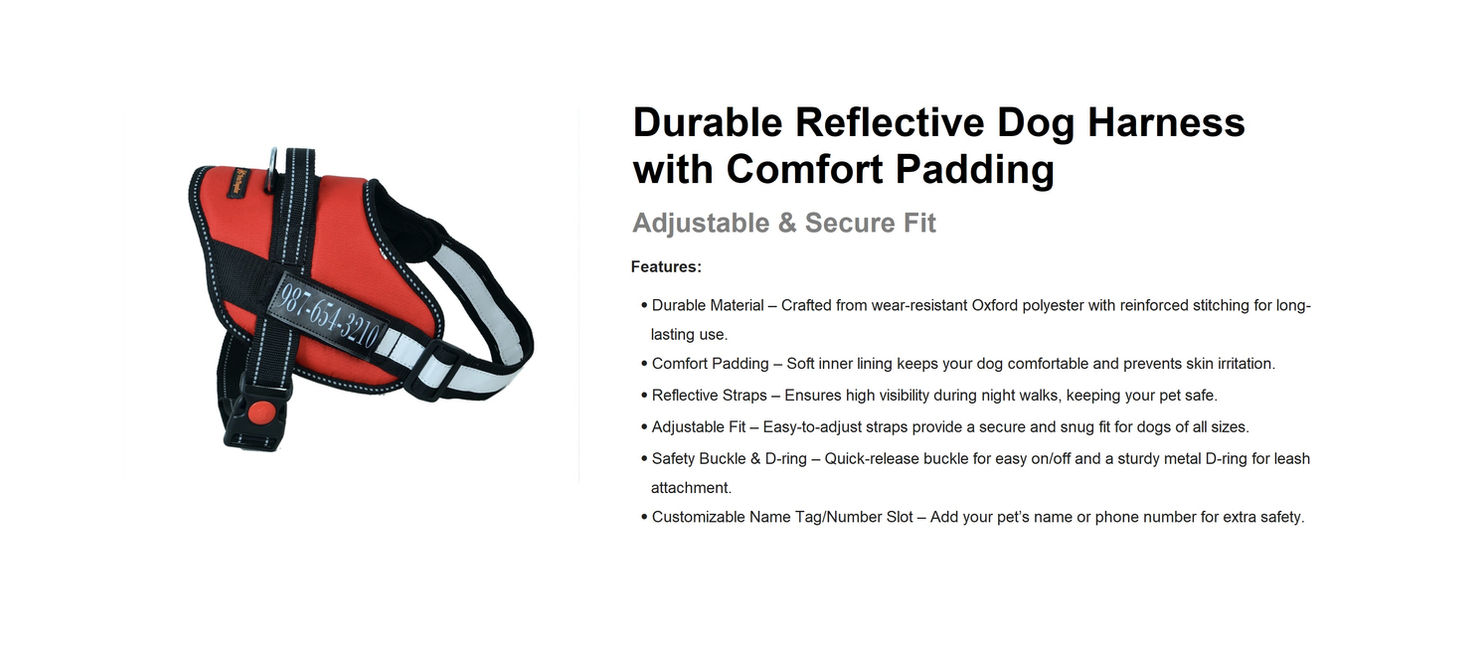 Adjustable & Secure Fit