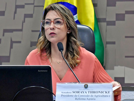 Pavimentação e drenagem urbana: Senadora Soraya Thronicke consegue liberar R$ 137 mil para Corguinho