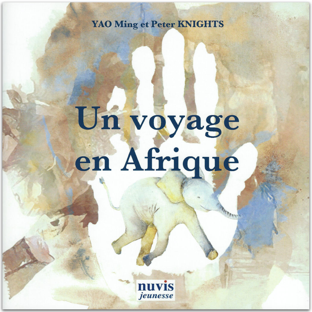 Un voyage en Afrique