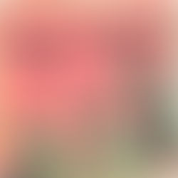 レッツ!ビートルズ on Radio(2021.5.13)