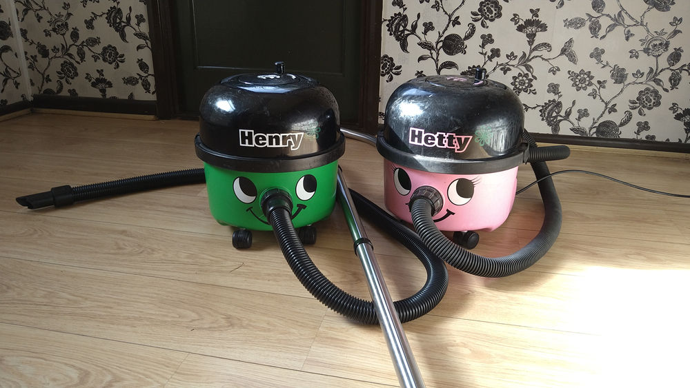 Meet Henry & Hetty
