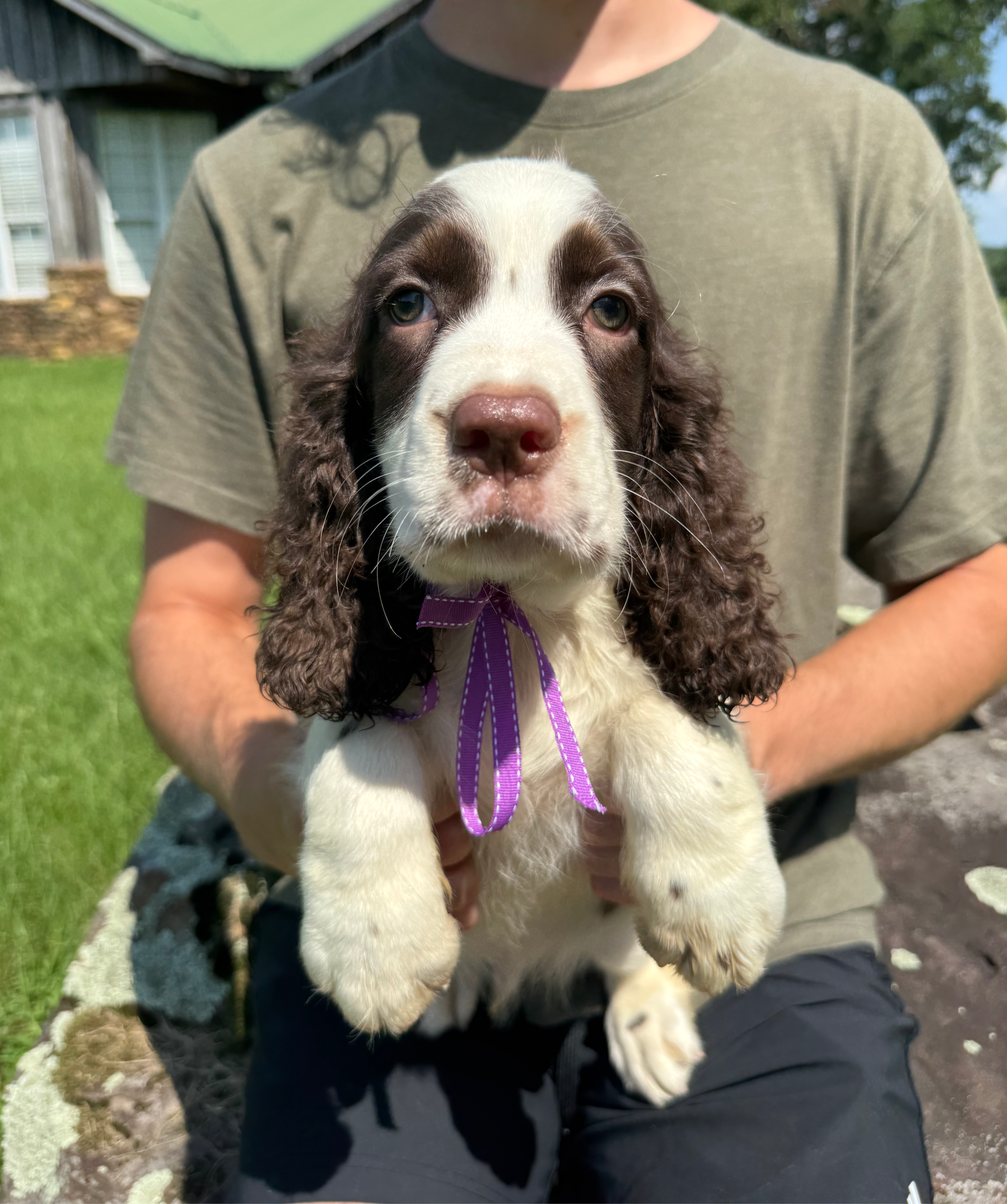 Franklin
