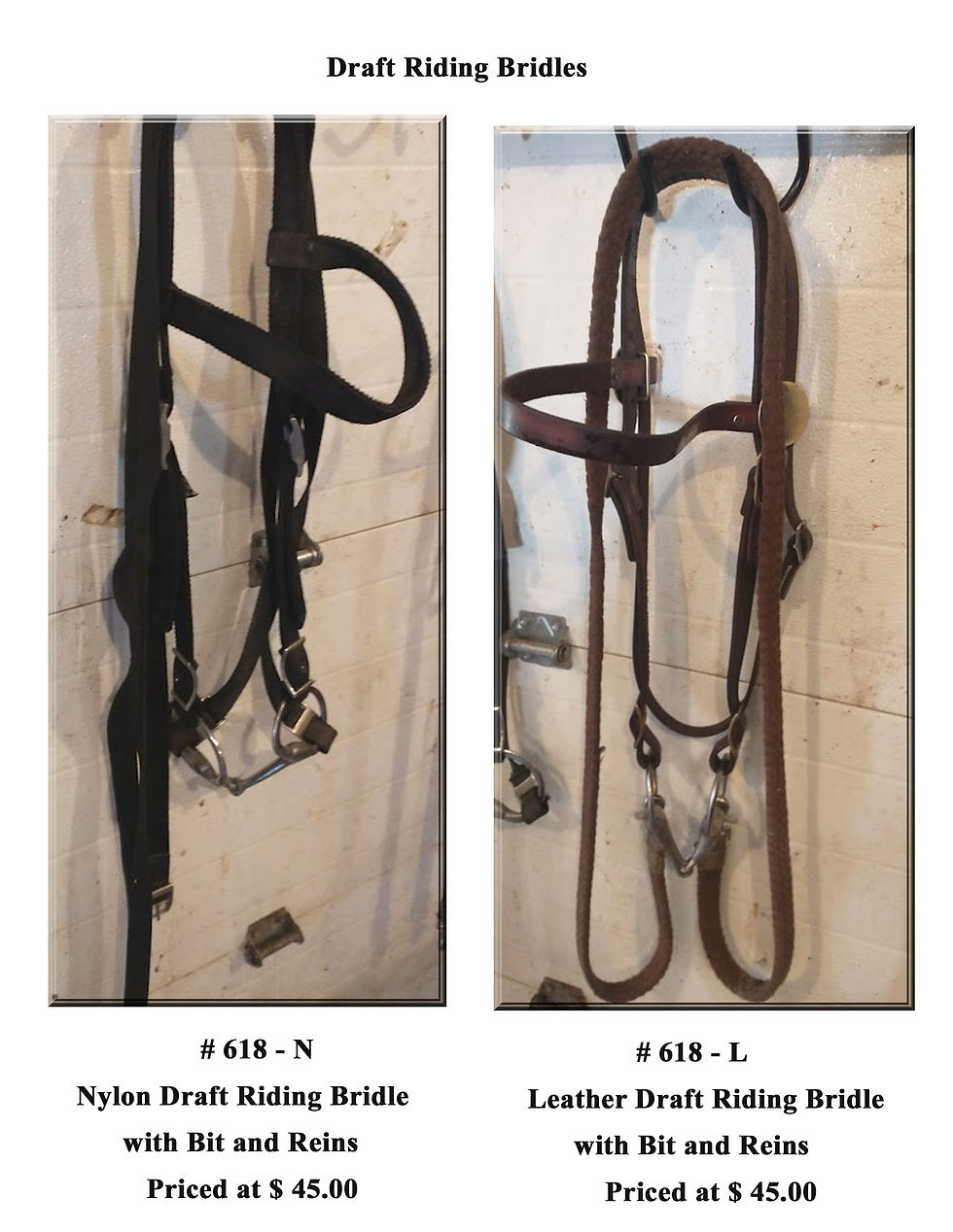 Draft Riding Bridles