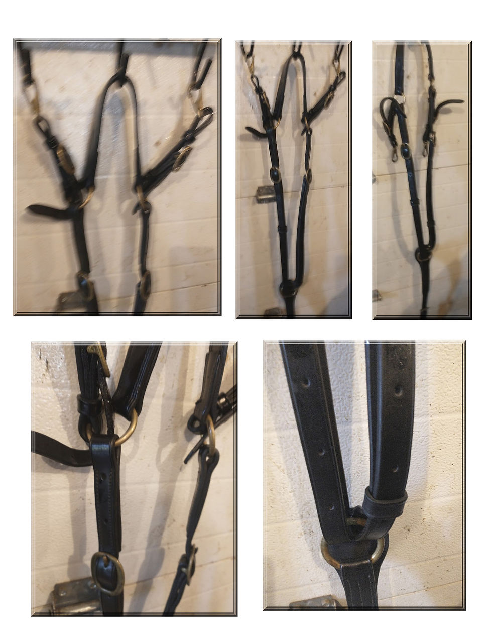 Draft English Riding Martingale
